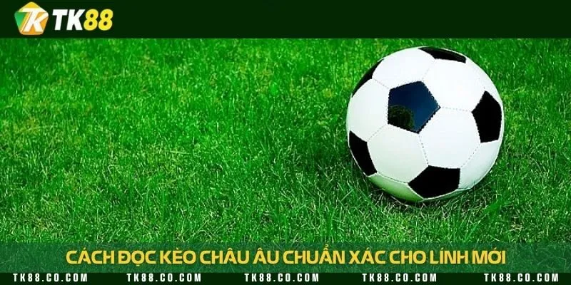 Hướng dẫn đọc kèo nhanh chóng và hiệu quả nhất