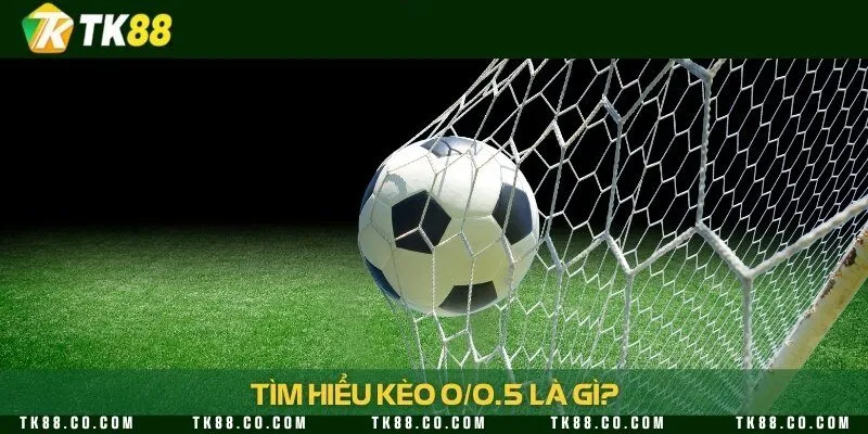 Nắm rõ kèo 0/0.5 trong bóng đá để dễ dàng đặt cược