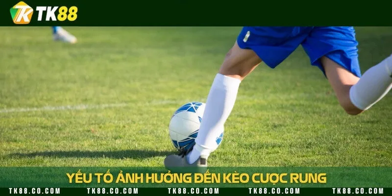Những yếu tố thực tế có thể ảnh hưởng đến kết quả kèo rung
